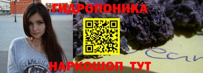 ешки Краснознаменск