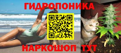 ешки Краснознаменск