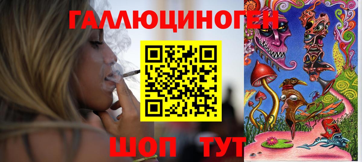 Псилоцибиновые грибы мицелий Карачаевск
